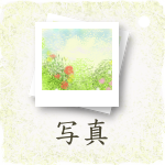 薬草と花の写真
